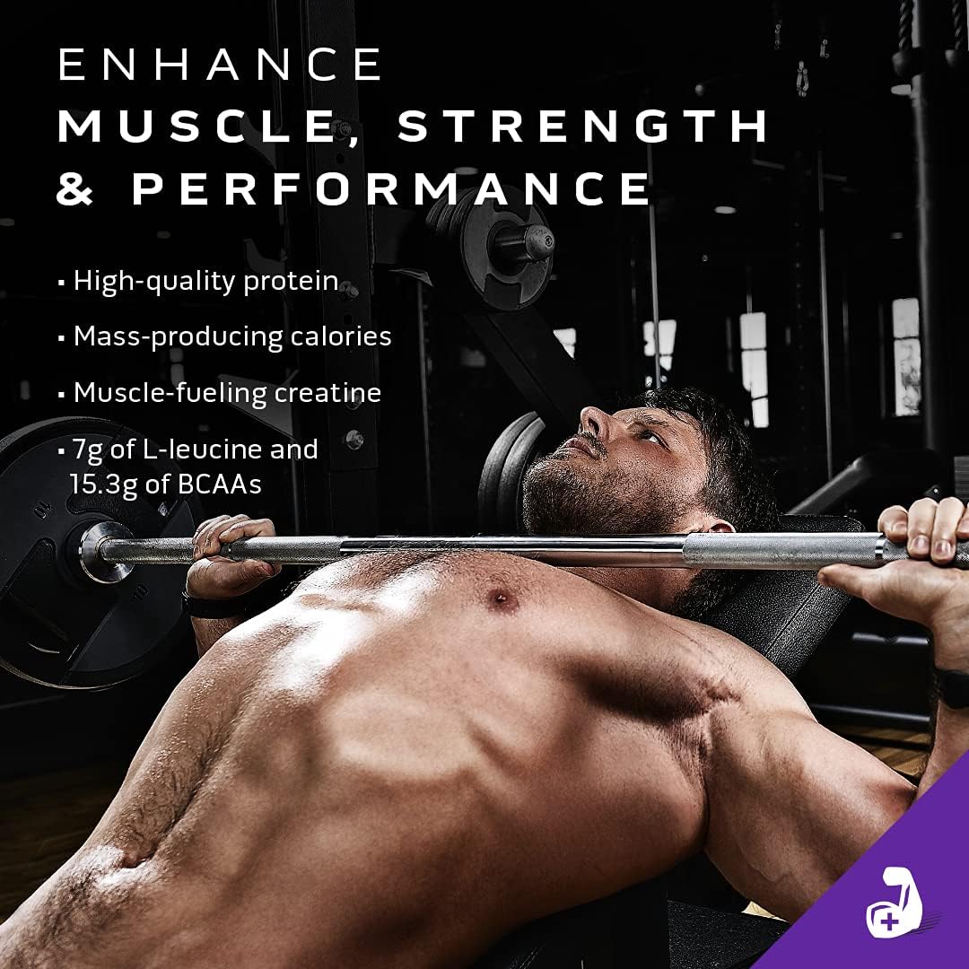 Muscletech Mass Gainer, Muscletech 100% Mass Gainer Protein Powder, Protein Powder for Muscle Gain, Whey Protein + Muscle Builder, Weight Gainer Protein Powder, Creatine Supplements, Chocolate Fudge Brownie, 4 Pounds